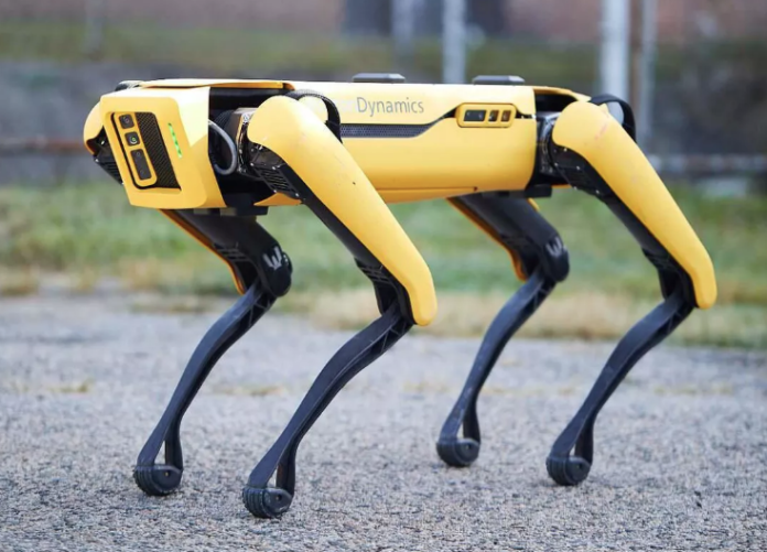 ROBOTIC POLICE DOGS: USEFUL HOUNDS OR DEHUMANIZING MACHINES? | THE RALLY